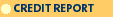 Credit Report