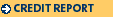 Credit Report